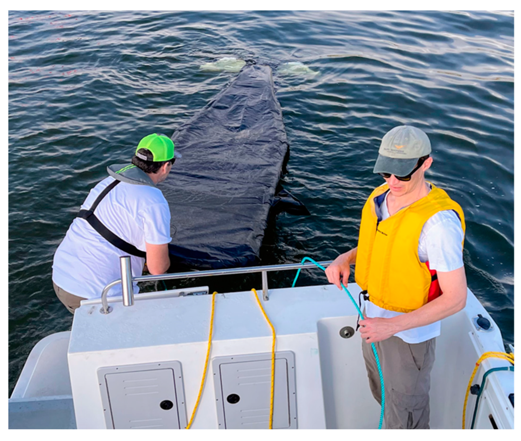 Remotesensing 15 04709 g004