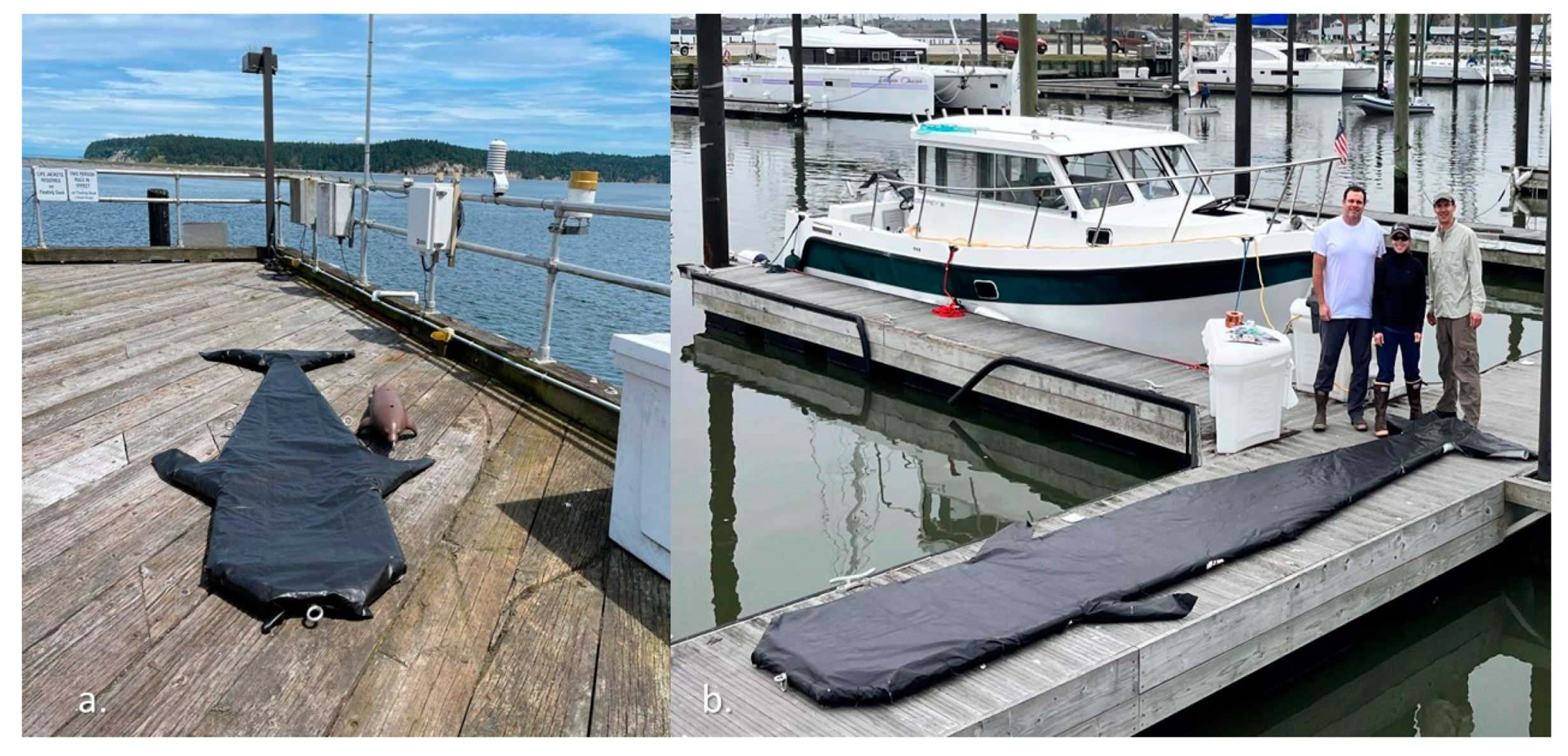 Remotesensing 15 04709 g005