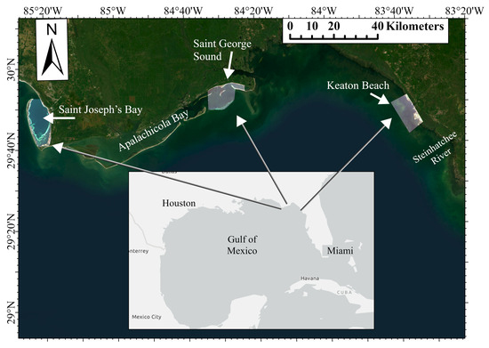 Remote Sensing, Free Full-Text