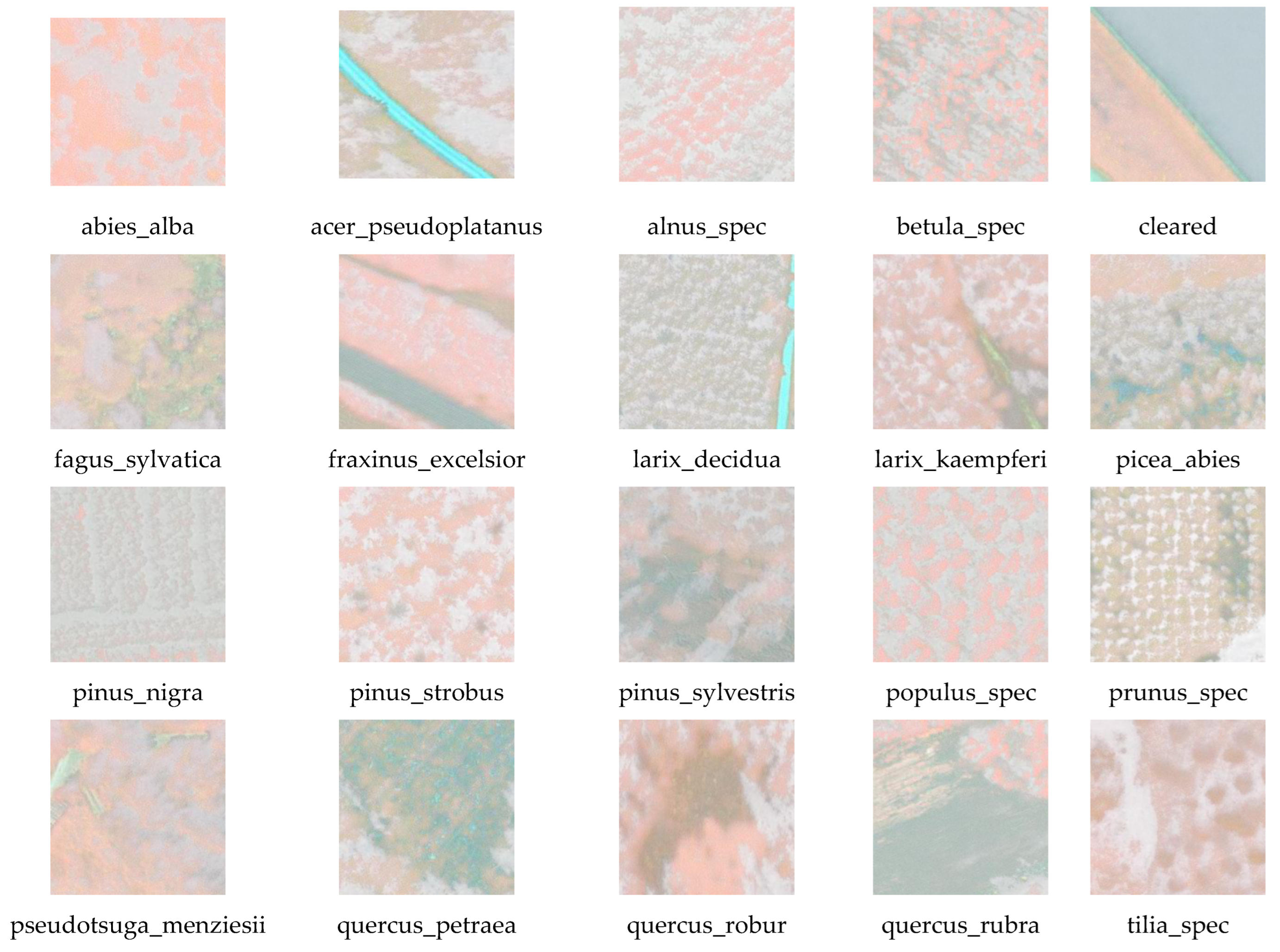 Remotesensing 15 04732 g008