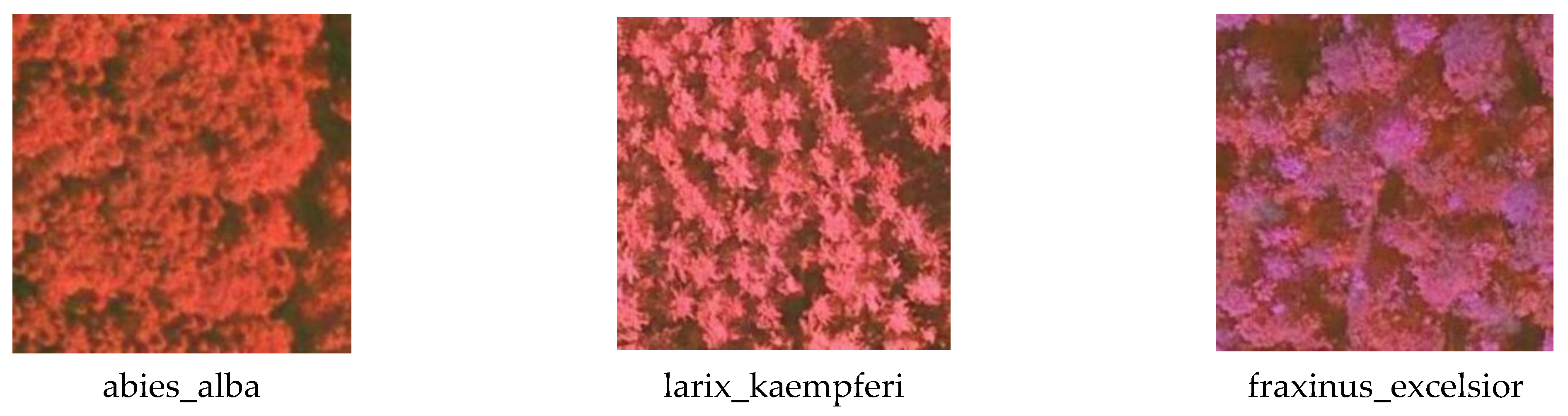 Remotesensing 15 04732 g009