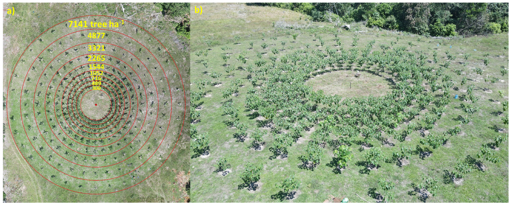 Remote Sensing, Free Full-Text