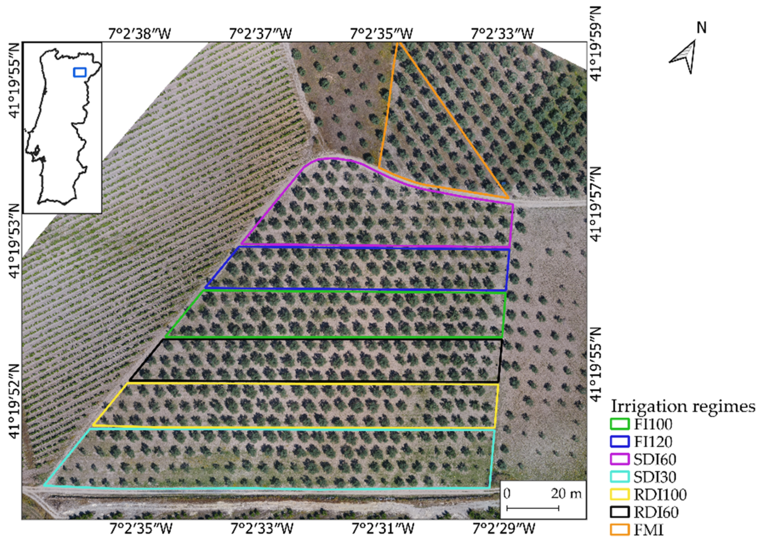 Remote Sensing Free Full-Text Assessing the Water Status and Leaf Pigment Content of Olive Trees Evaluating the Potential and Feasibility of Unmanned Aerial Vehicle Multispectral and Thermal Data for Estimation pic