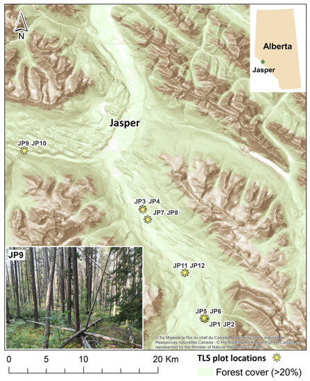 Delineating and Reconstructing 3D Forest Fuel Components and