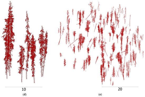Delineating and Reconstructing 3D Forest Fuel Components and