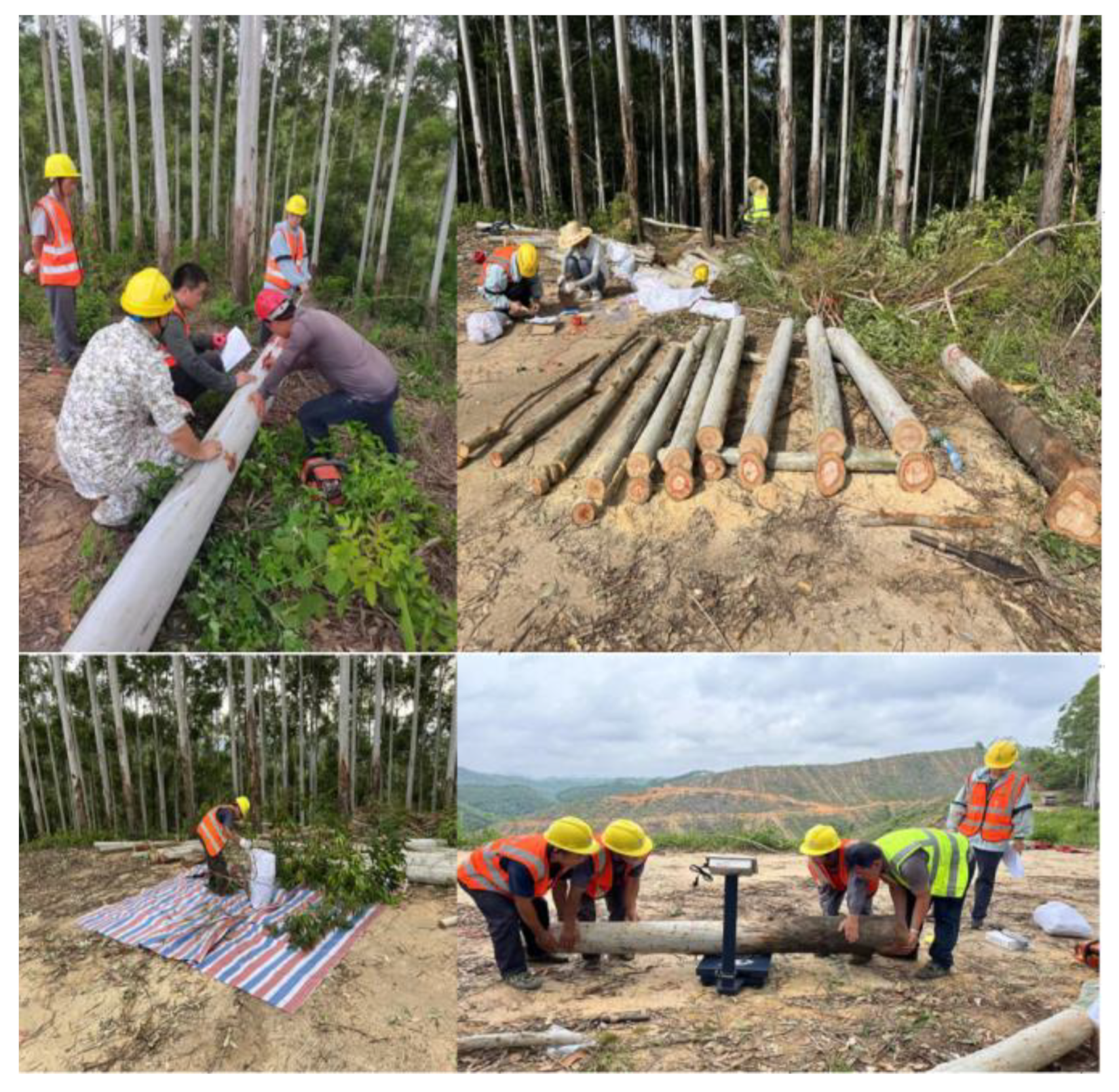 Remotesensing 15 04782 g002