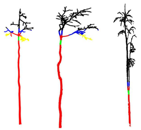 minanda A New Method for Reconstructing Tree-Level Aboveground
