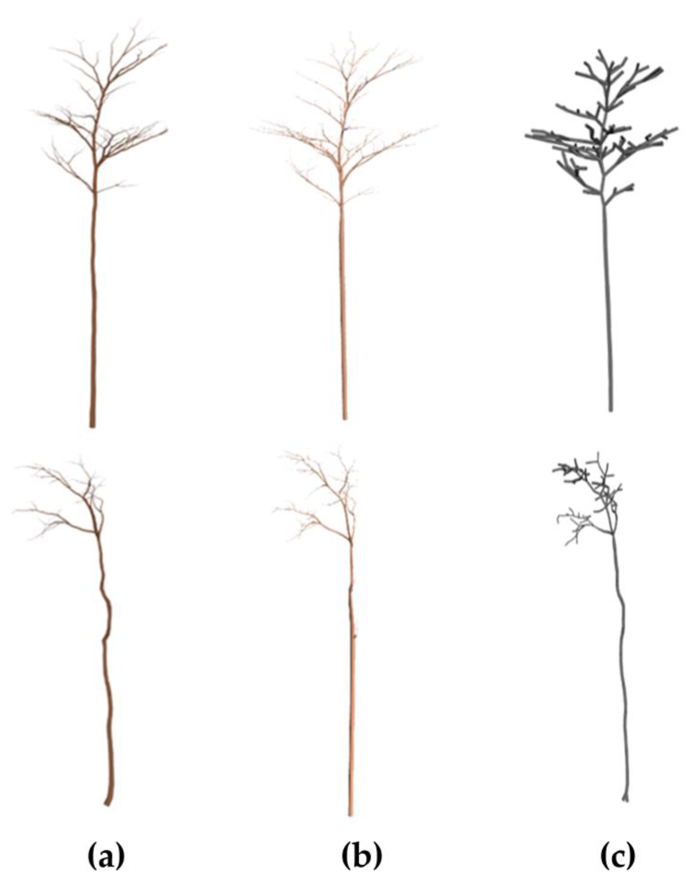 Remotesensing 15 04782 g010