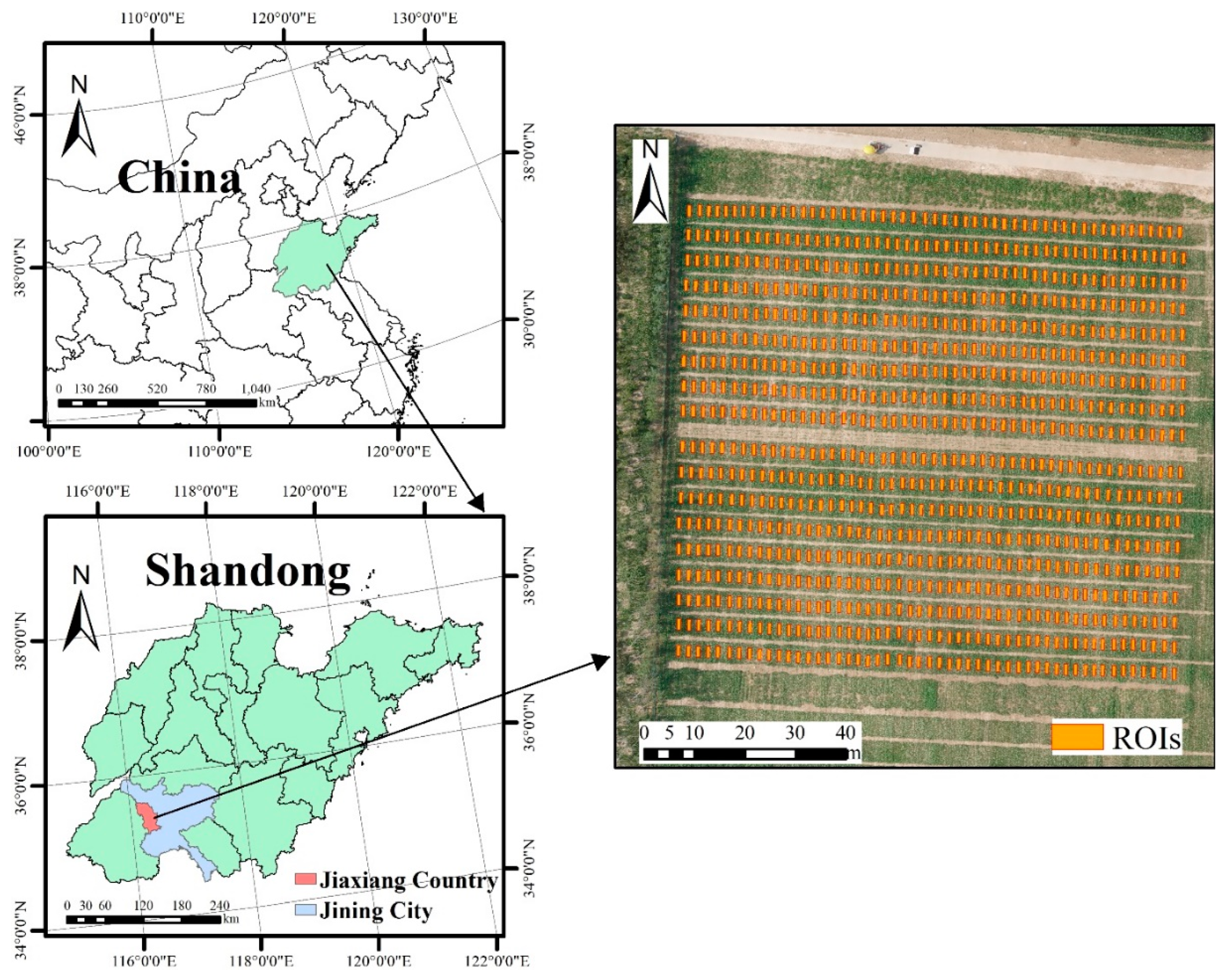 Remotesensing 15 04807 g001