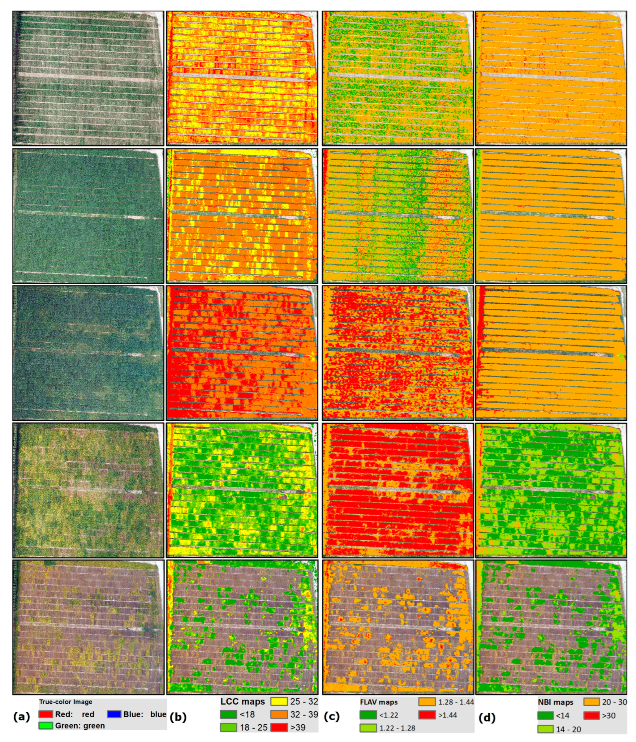 Remotesensing 15 04807 g007