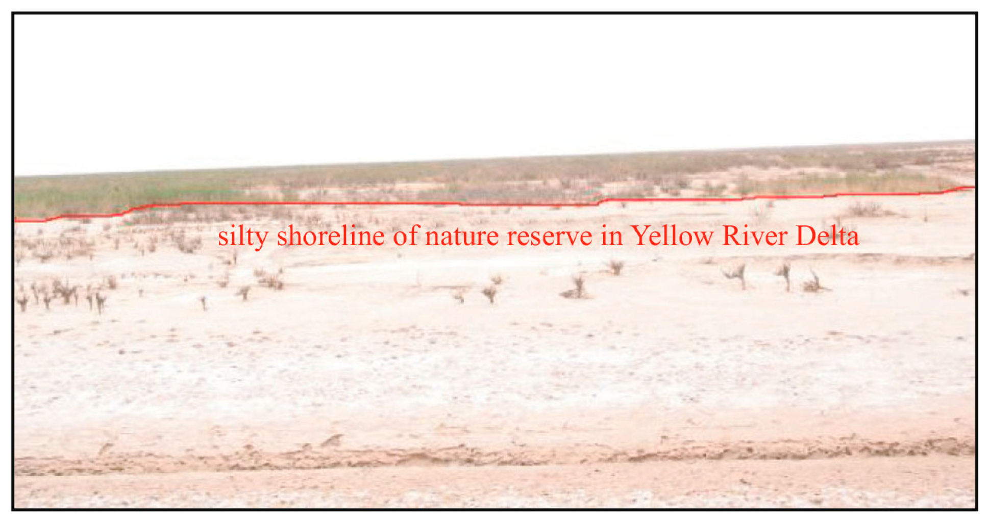 Remotesensing 15 04865 g004