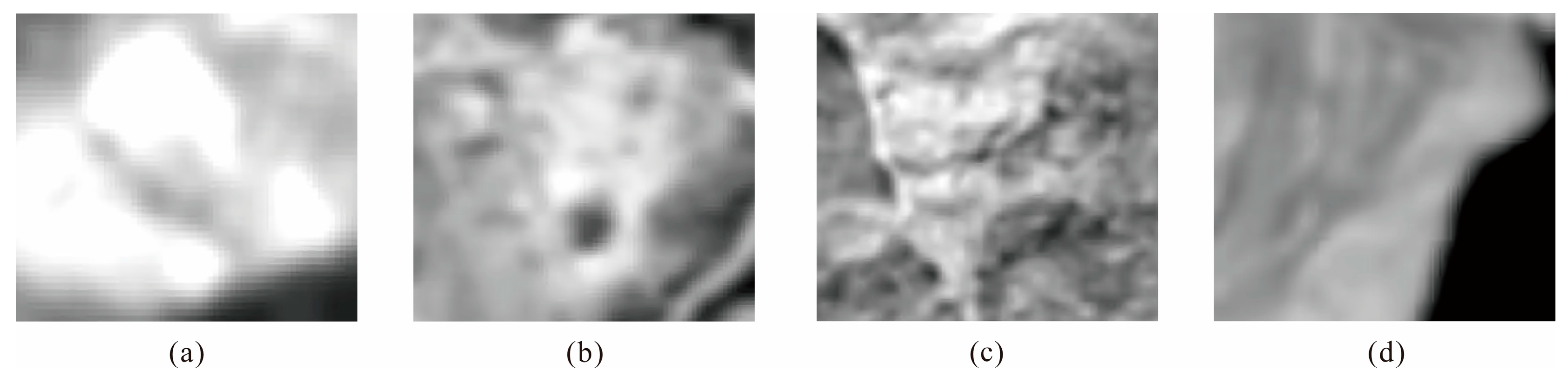 Remotesensing 15 04898 g004