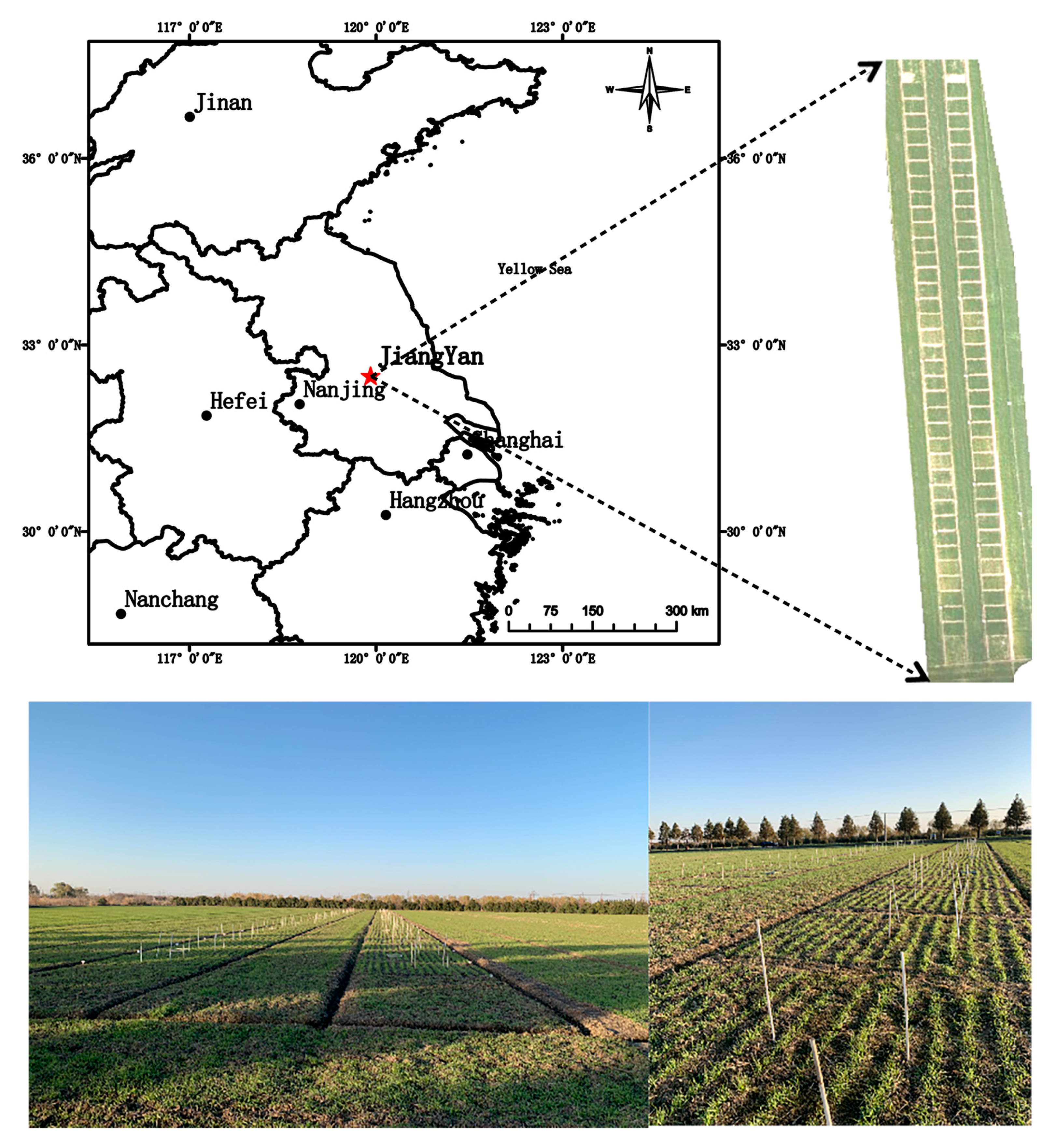 Remotesensing 15 04935 g001