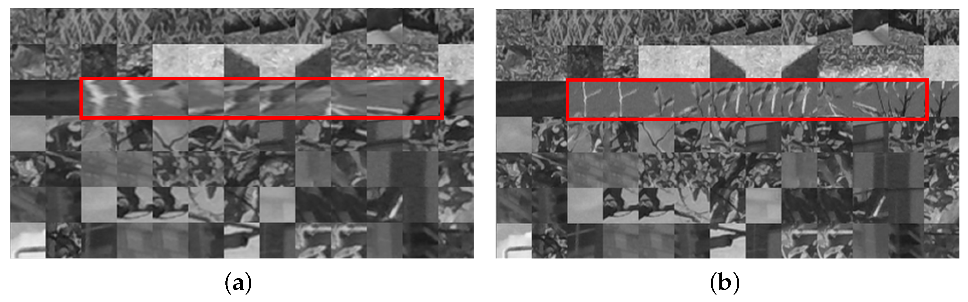 Remotesensing 15 04954 g010