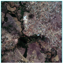 Remotesensing 15 04979 i004