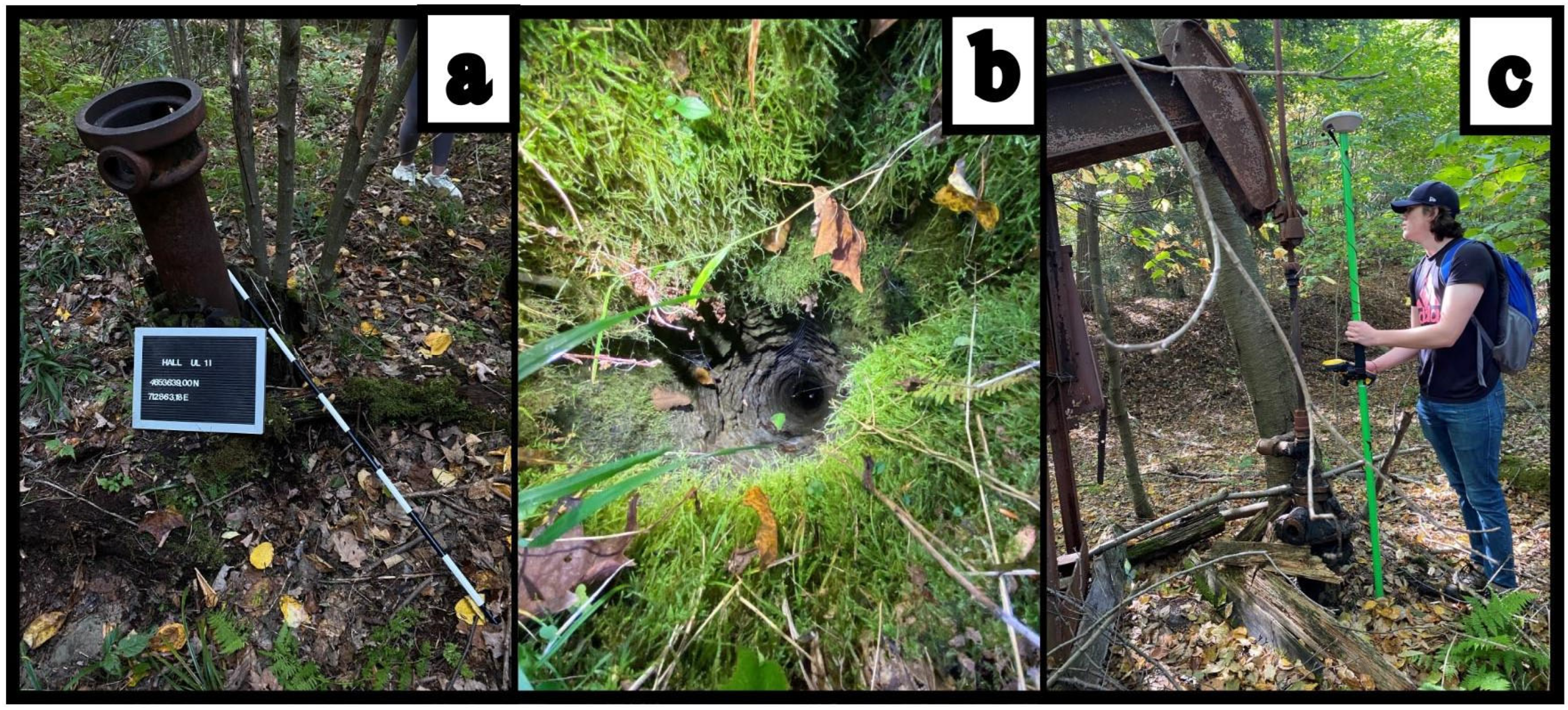 Remotesensing 15 05004 g005