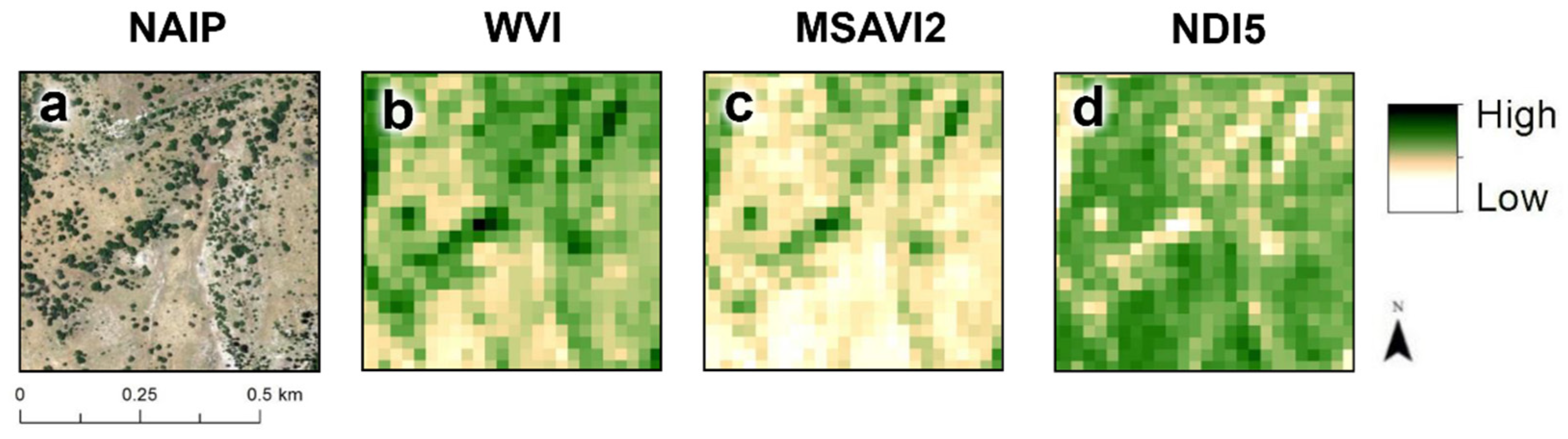 Remotesensing 15 05102 g004