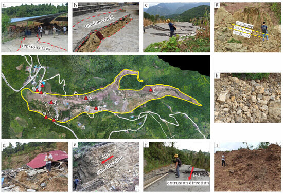 Deformation Monitoring and Dynamic Analysis of Long-Runout