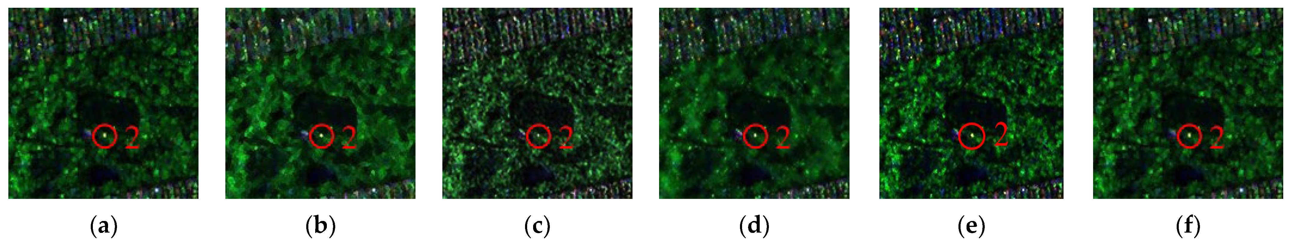 Remotesensing 15 05224 g019