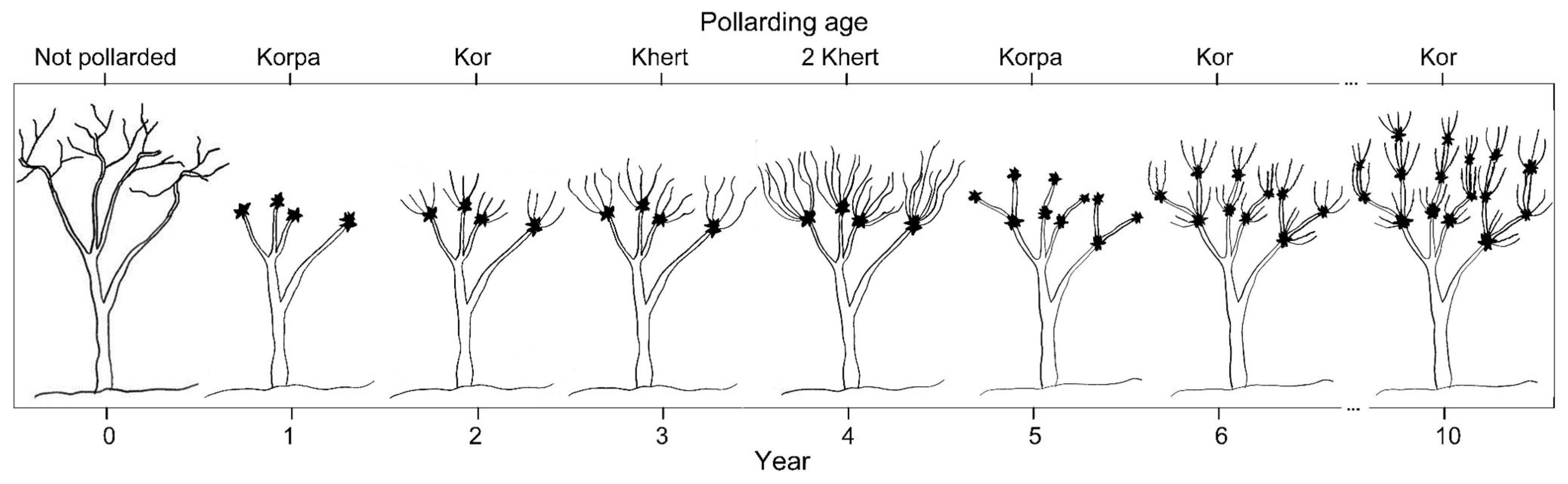Remotesensing 15 05261 g001