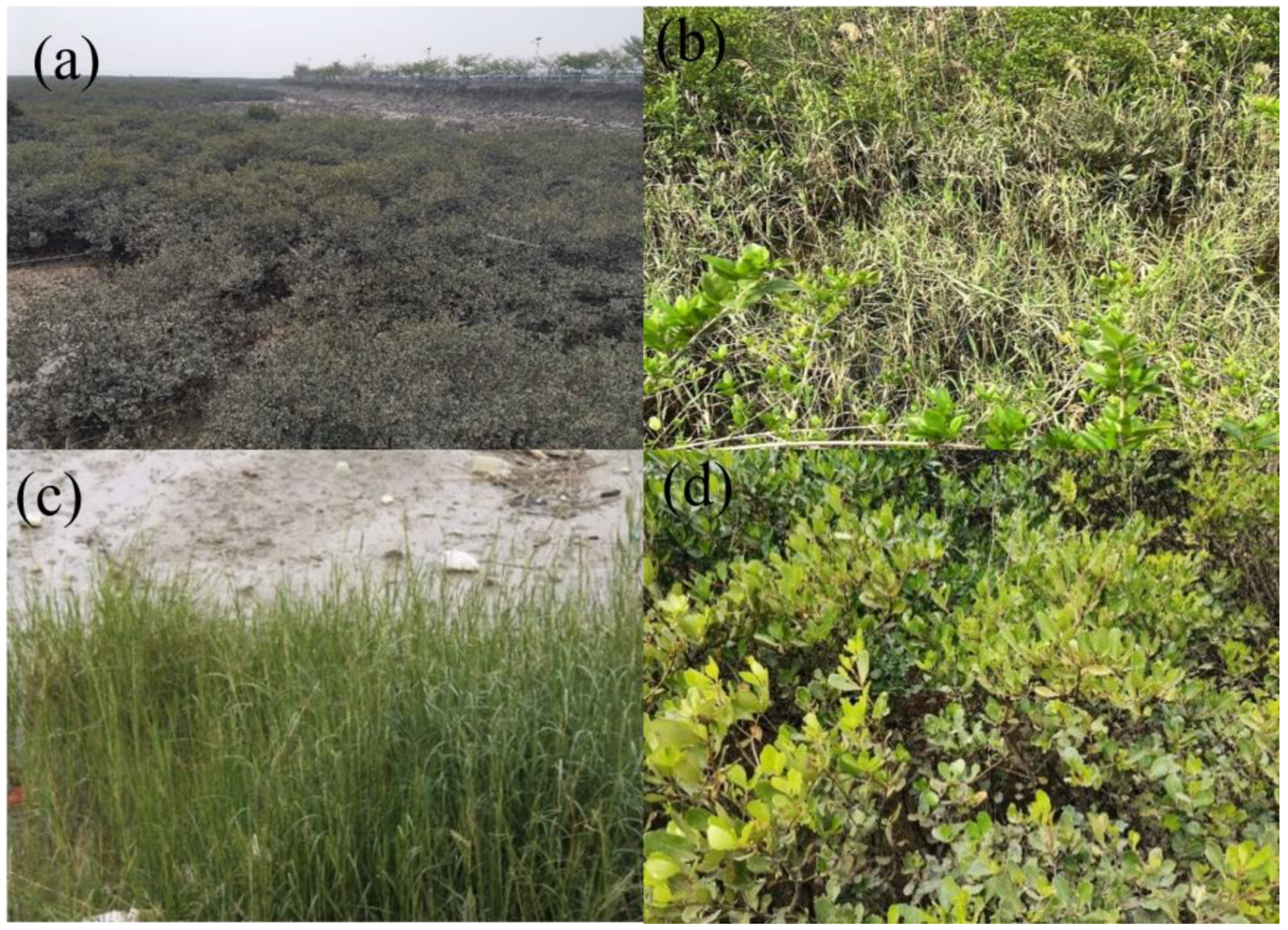 Remotesensing 15 05271 g010