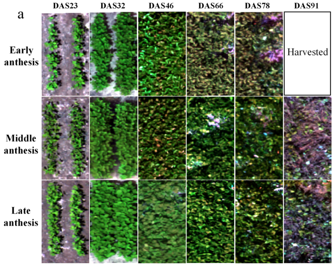 Remotesensing 15 05413 g004a