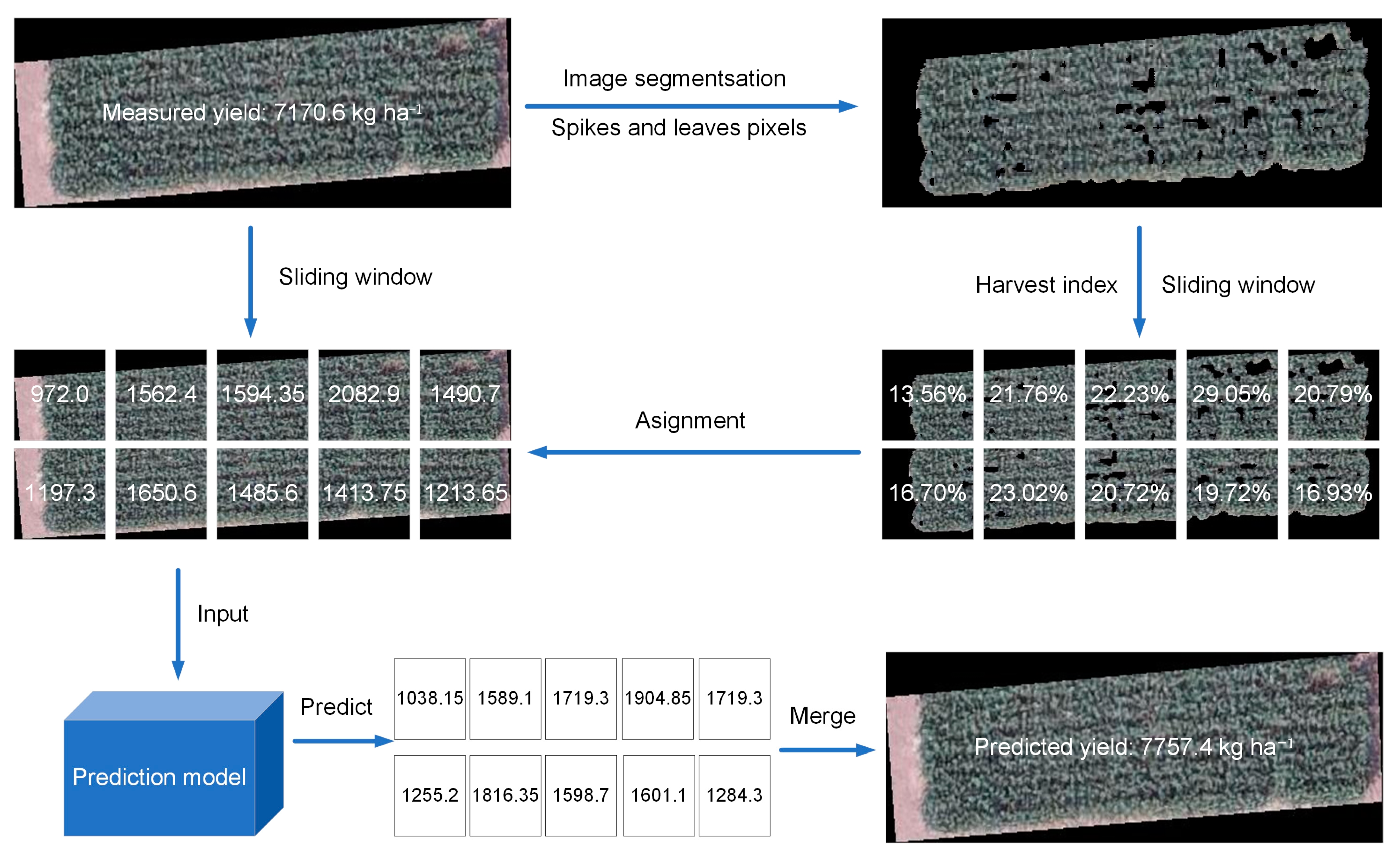 Remotesensing 15 05444 g003