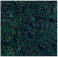 Remotesensing 15 05461 i007