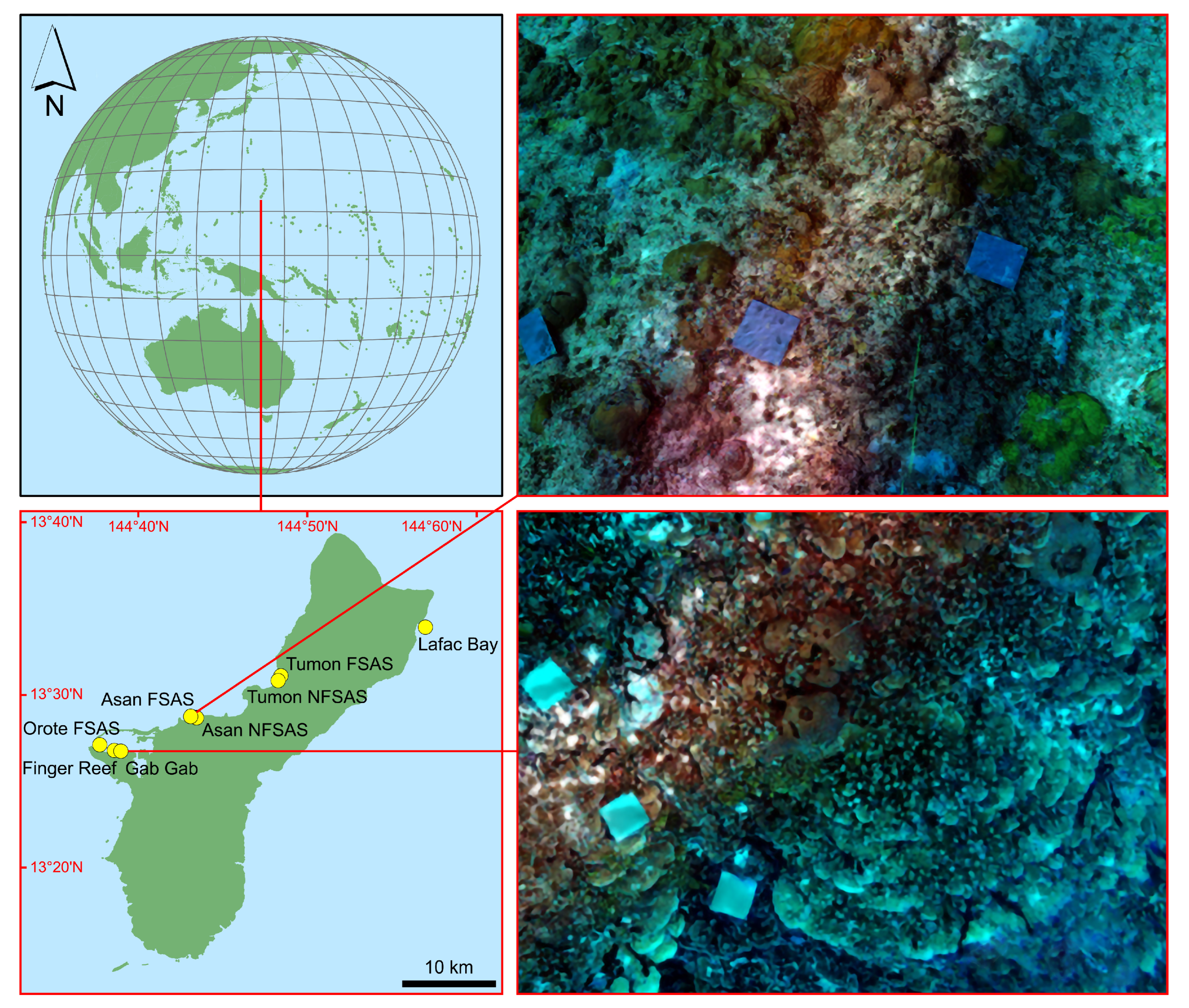 Remotesensing 15 05558 g001