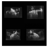 Remotesensing 15 05569 i001