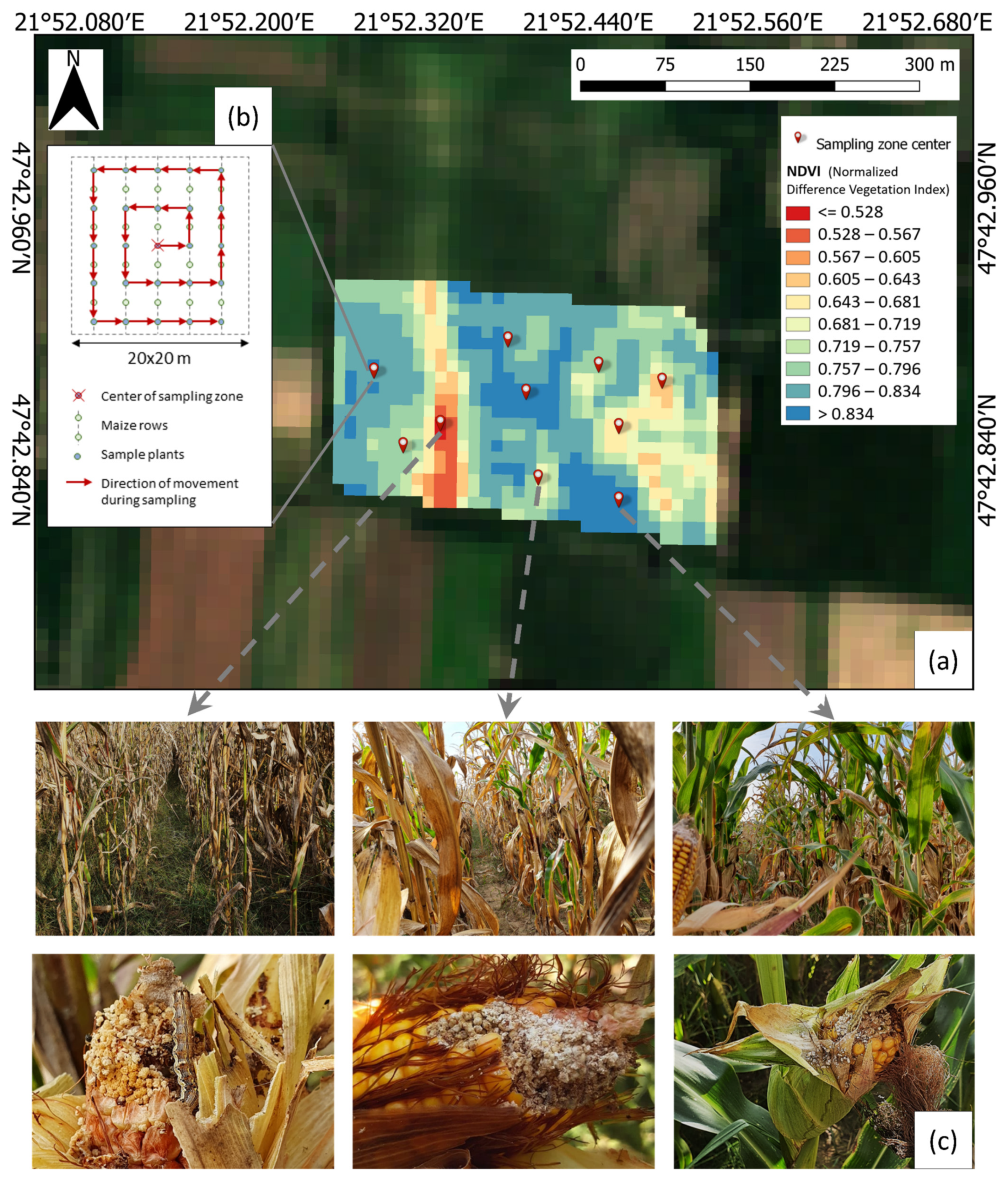 Remotesensing 15 05602 g002 Remotesensing 15 05602 g002