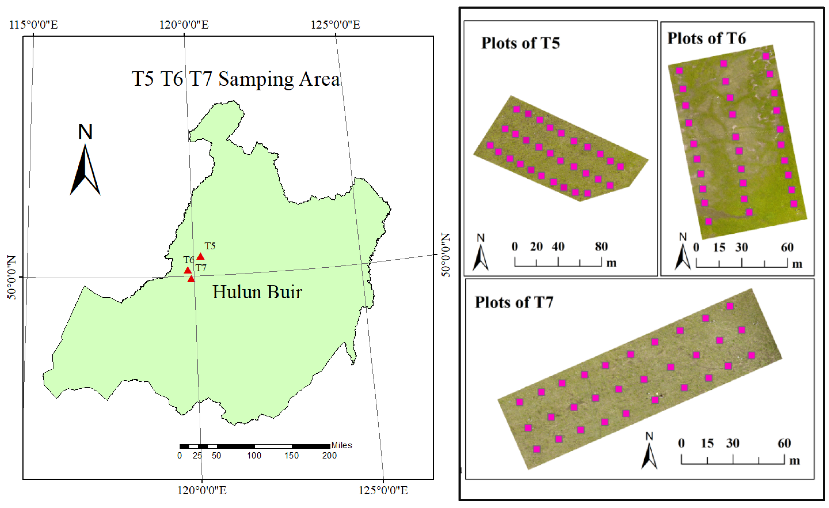 Remotesensing 15 05623 g001