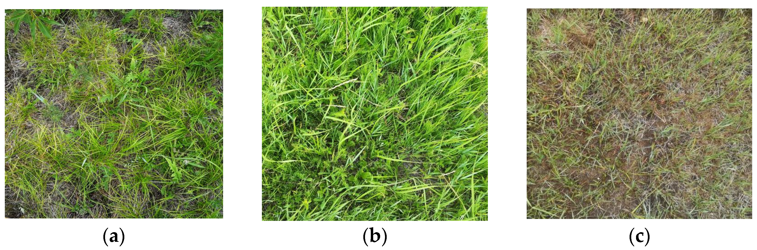 Remotesensing 15 05623 g002