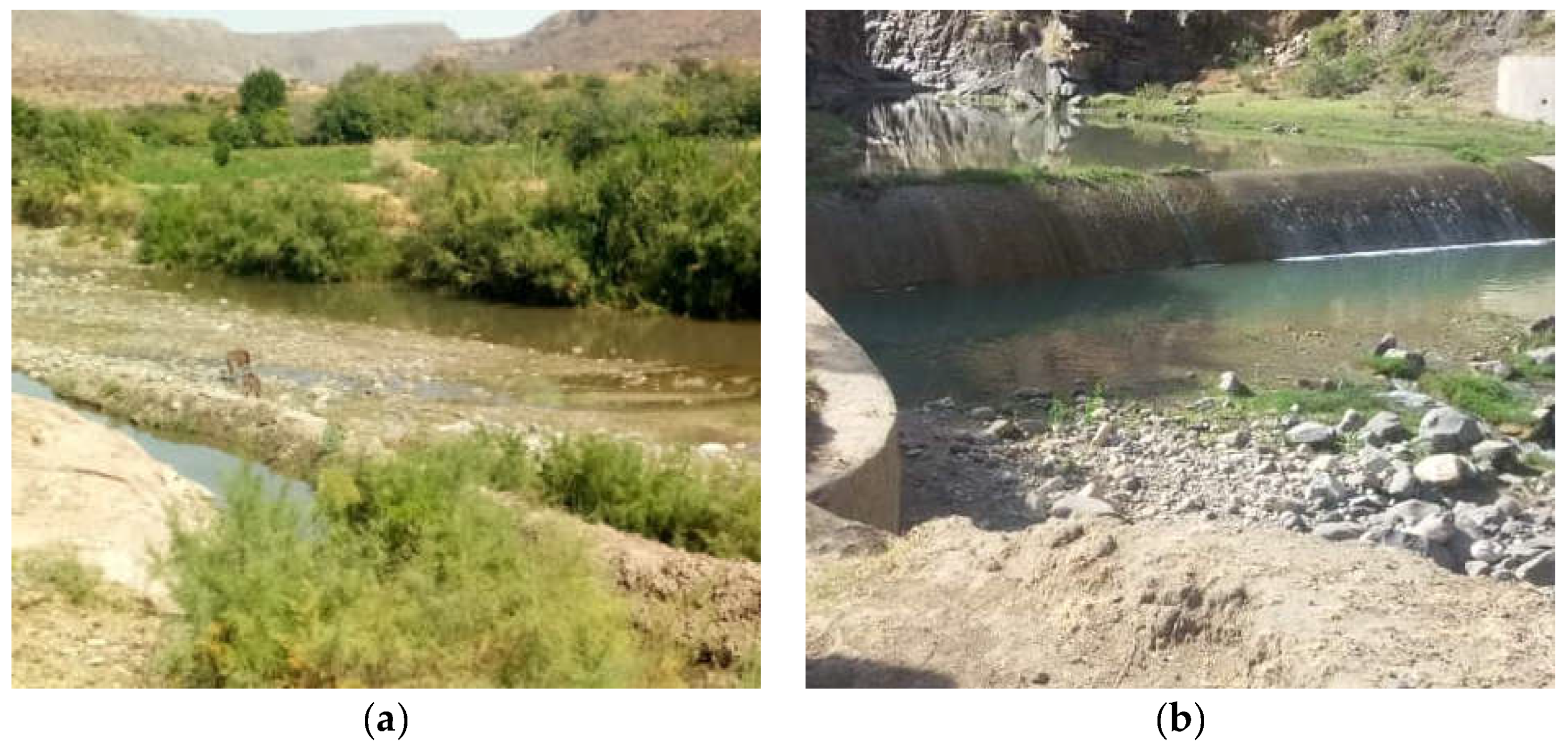 Remotesensing 15 05647 g001