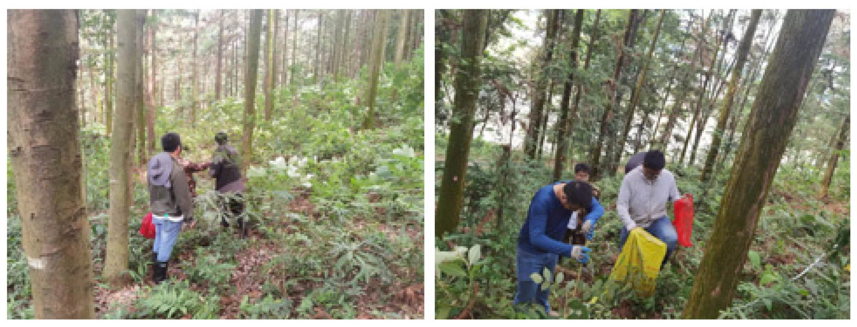 Remotesensing 15 05653 g002