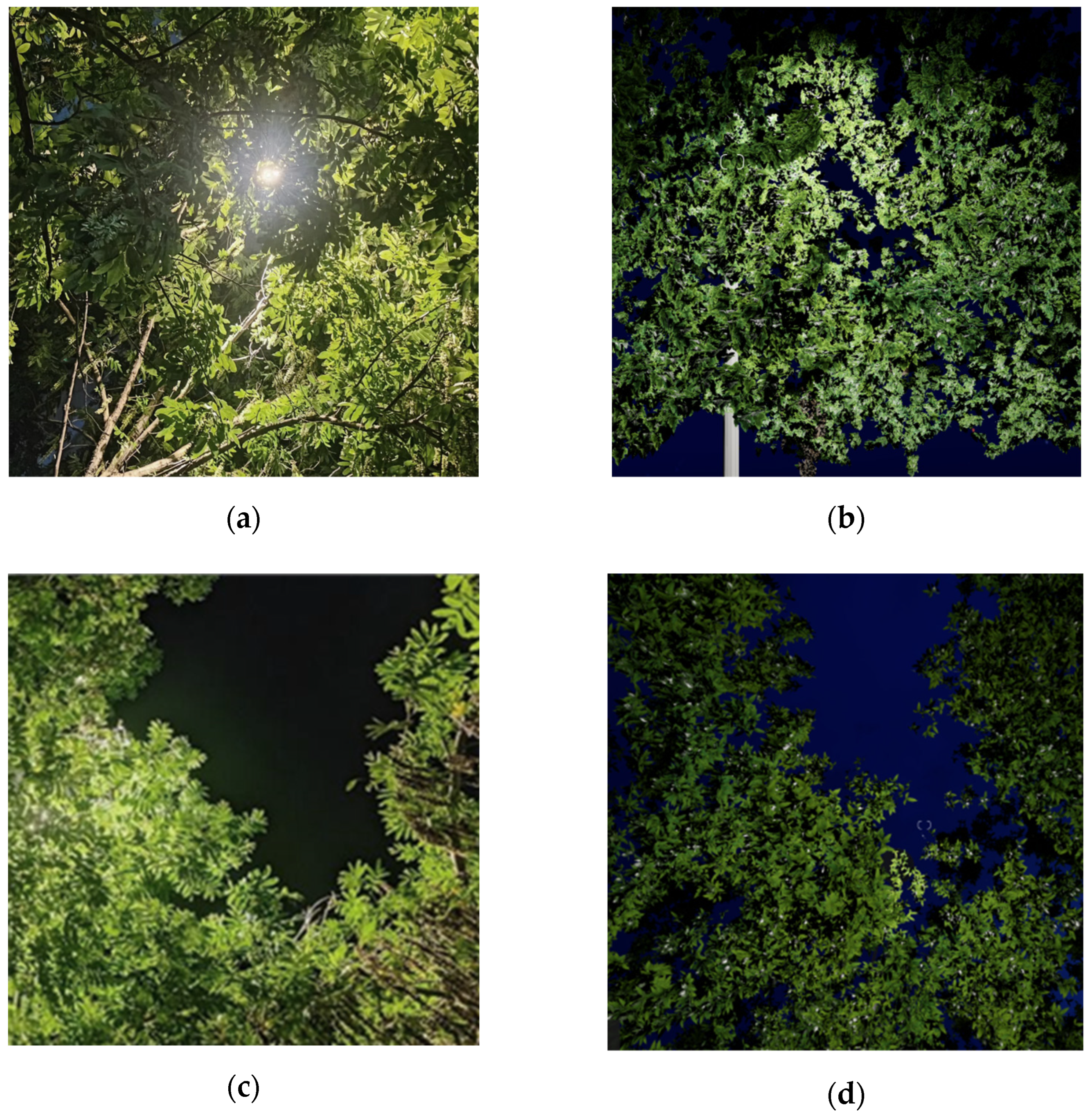 Remotesensing 15 05655 g020