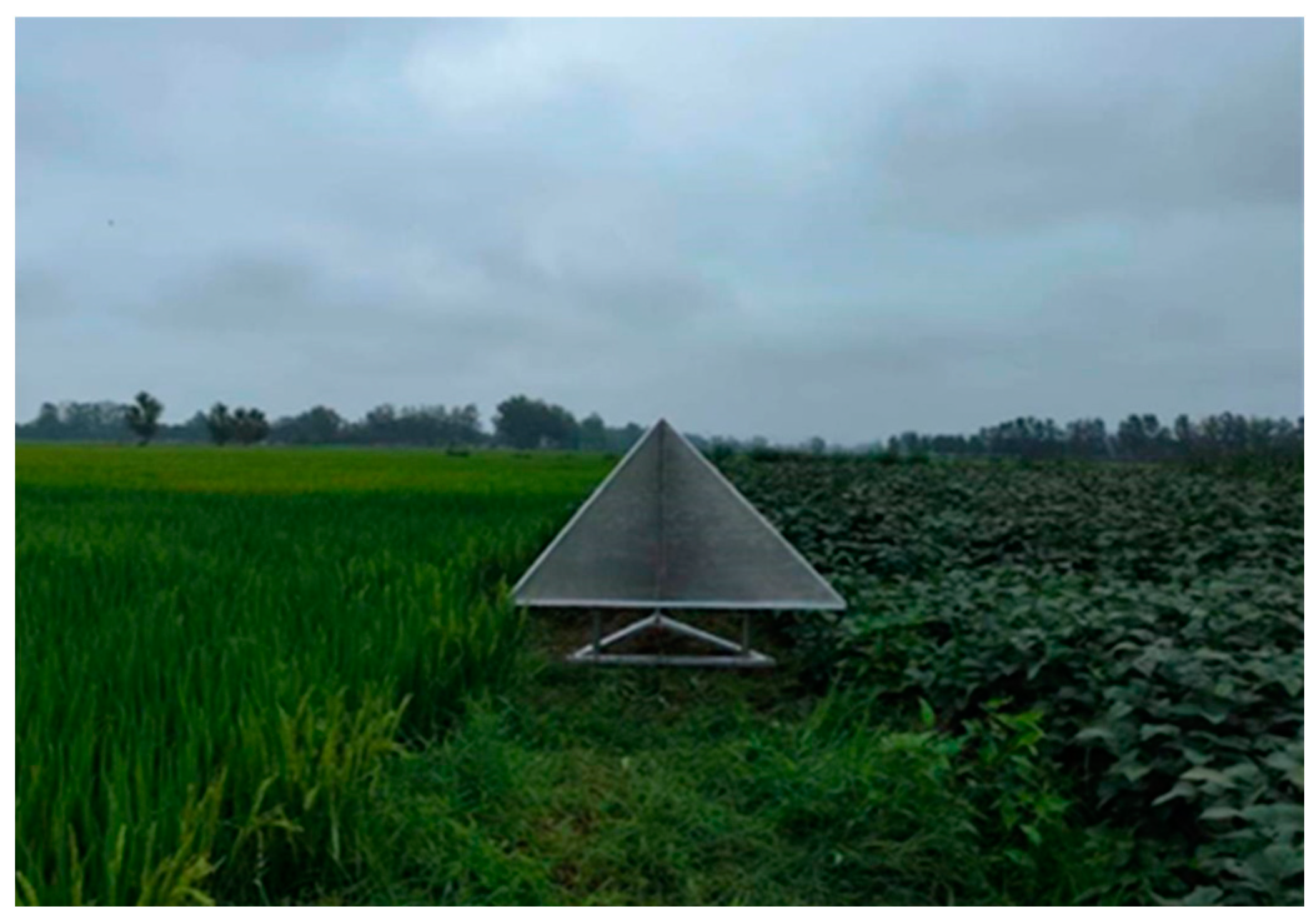 Remotesensing 15 05668 g006