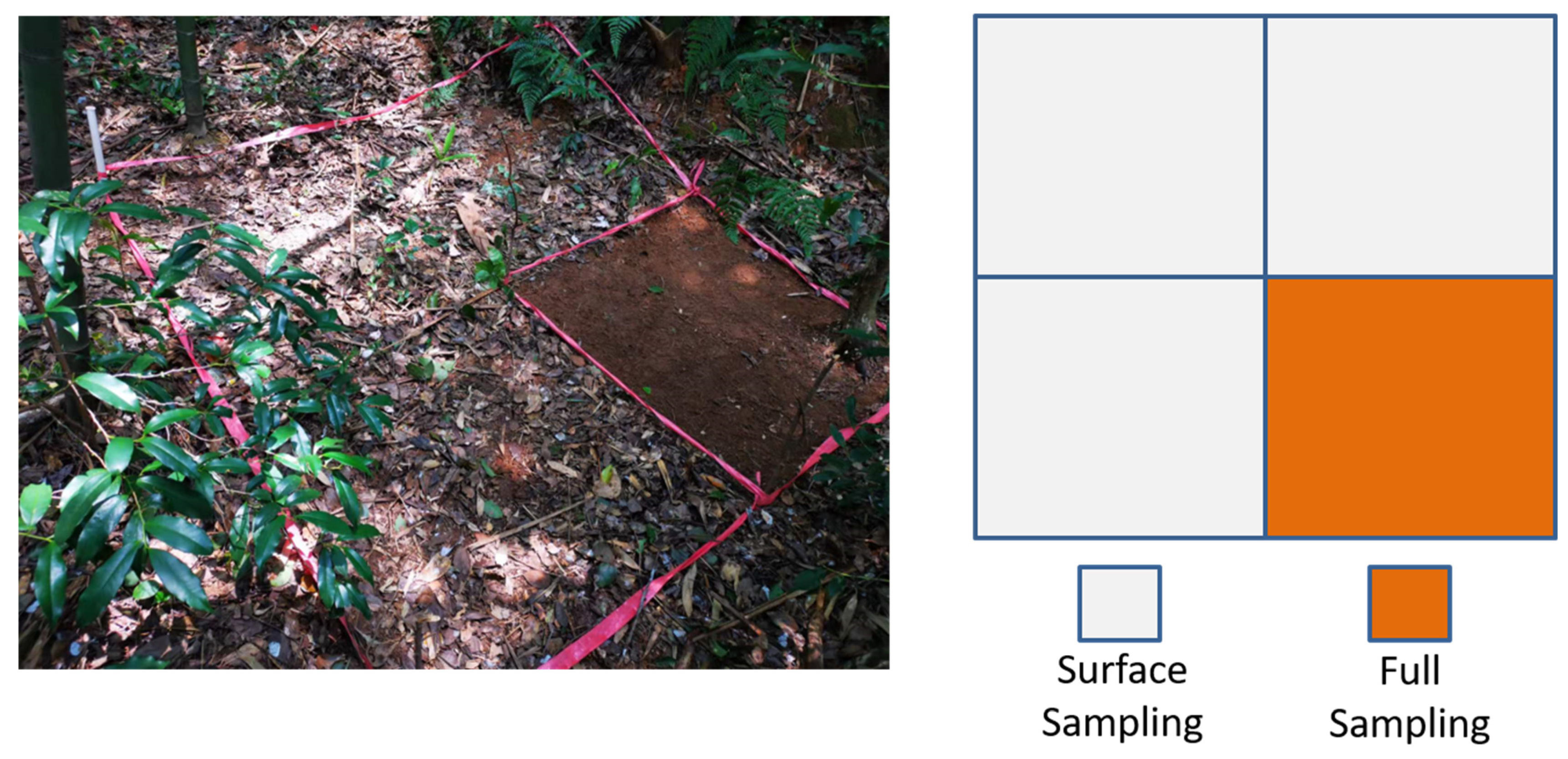 Remotesensing 15 05721 g003