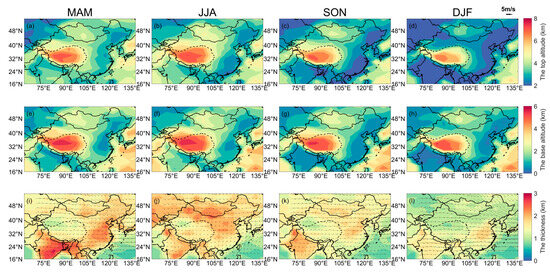 Three-Dimensional Distribution and Transport Features of