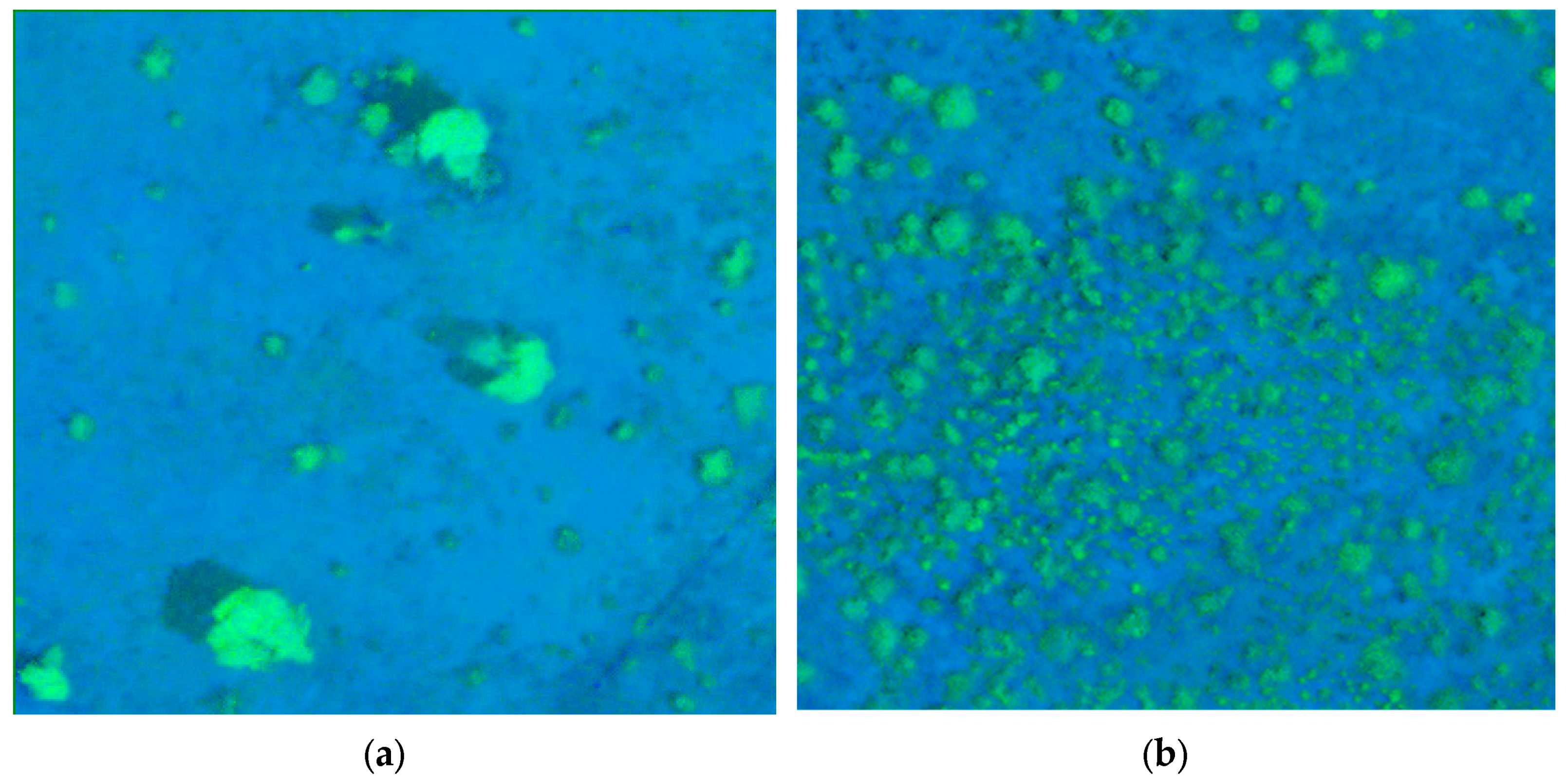 Remotesensing 15 05742 g006