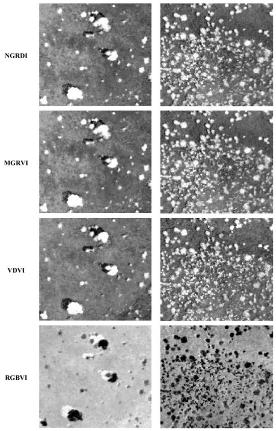 A New Remote Sensing Desert Vegetation Detection Index
