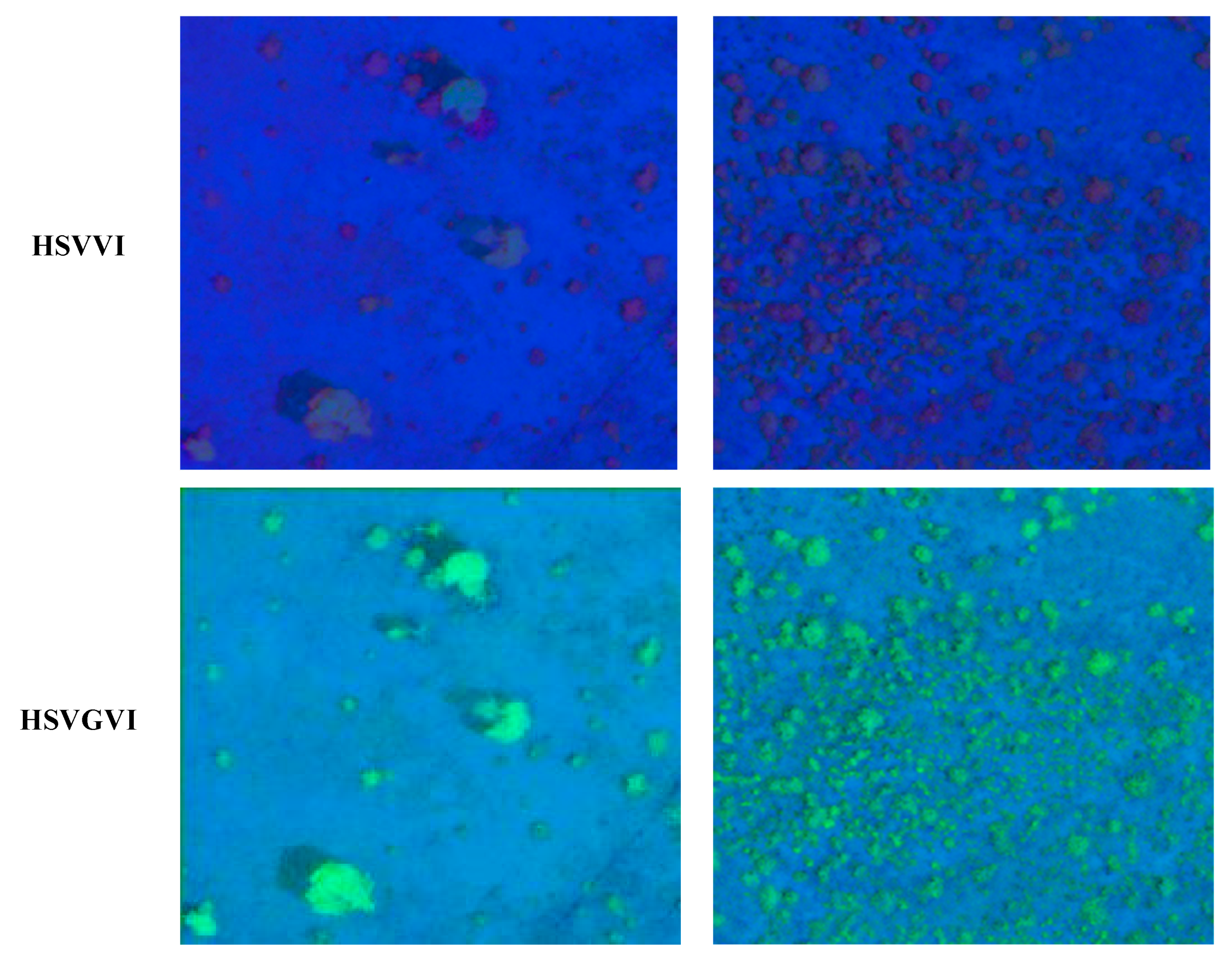 Remotesensing 15 05742 g007c