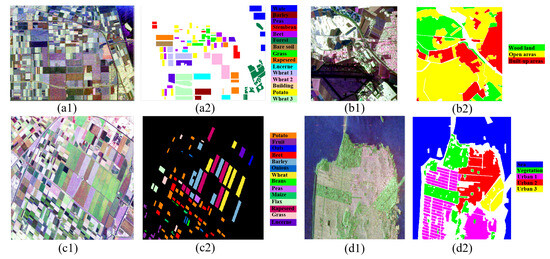 Self-Distillation-Based Polarimetric Image Classification with Noisy ...