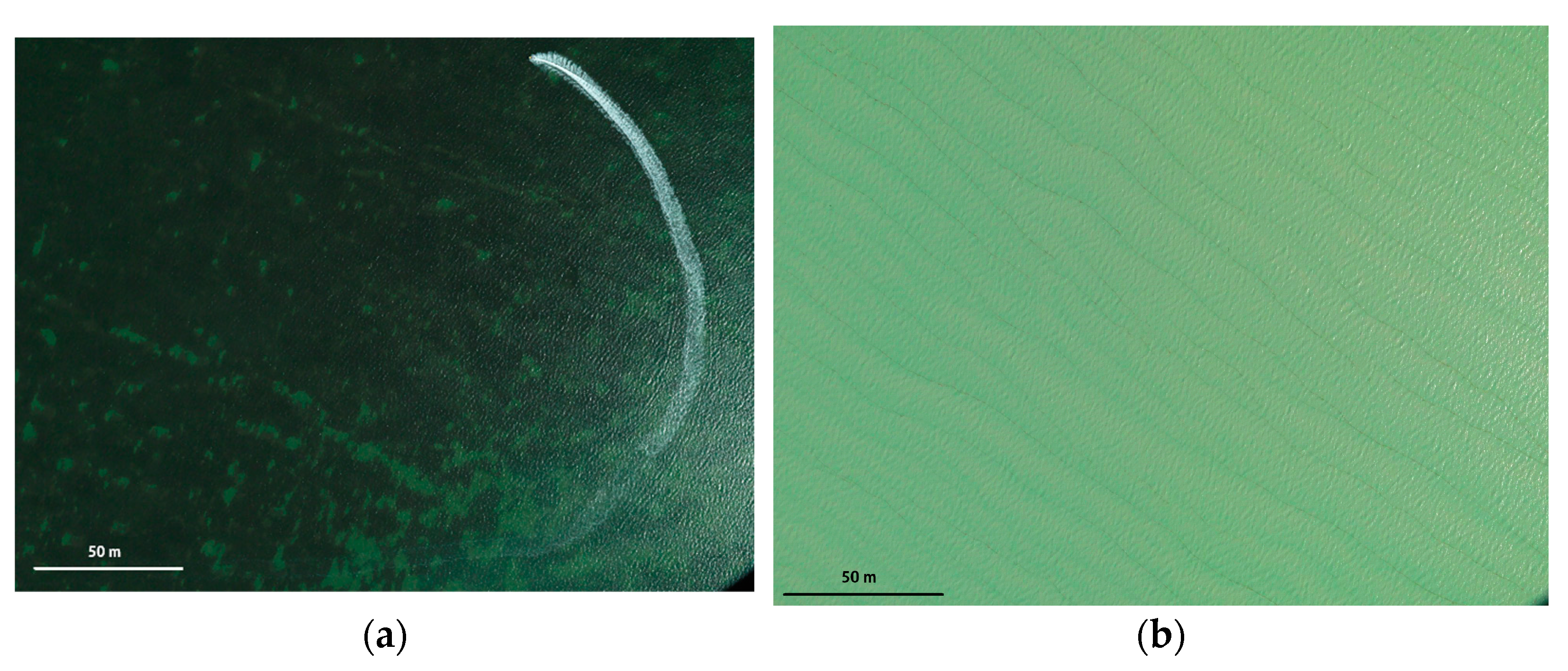 Remotesensing 15 05754 g001