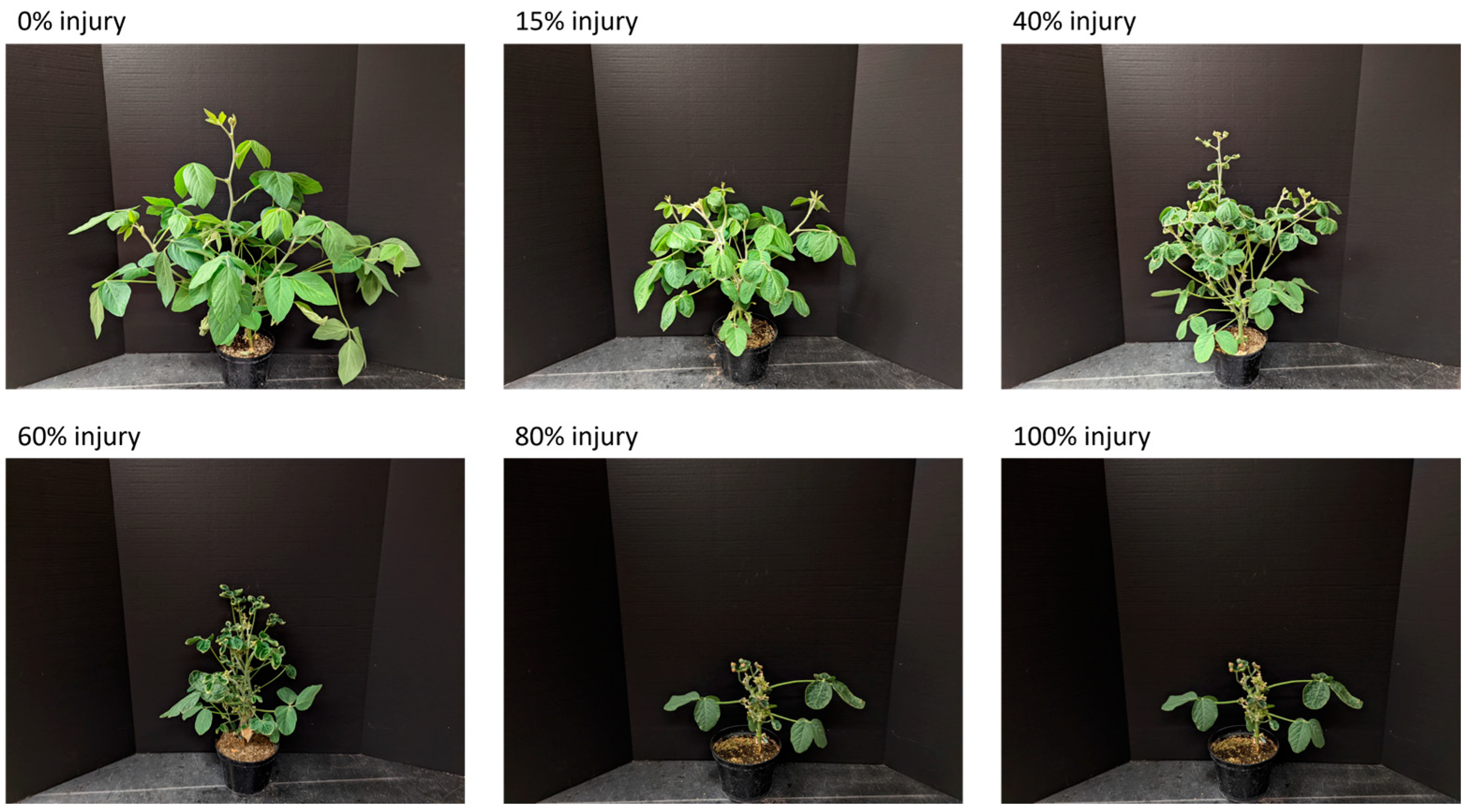 Remotesensing 15 05771 g001