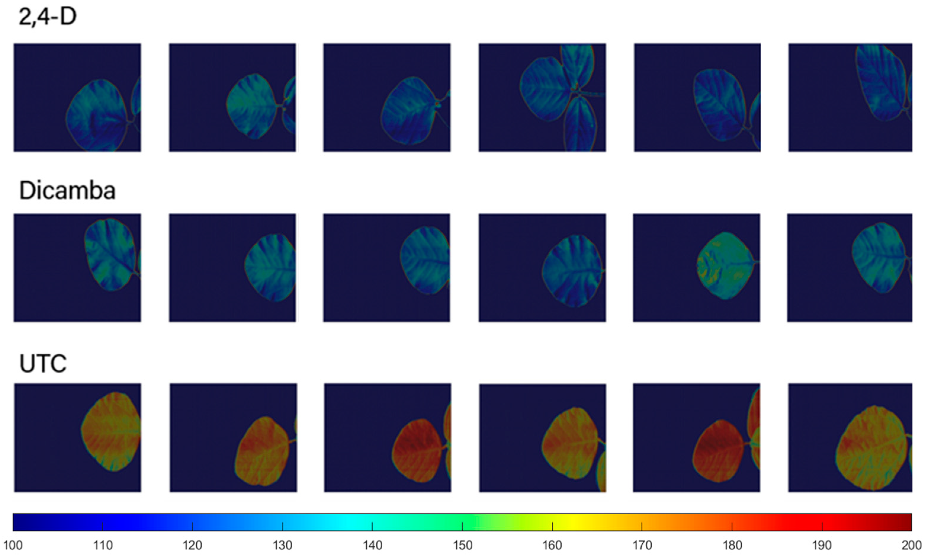 Remotesensing 15 05771 g006