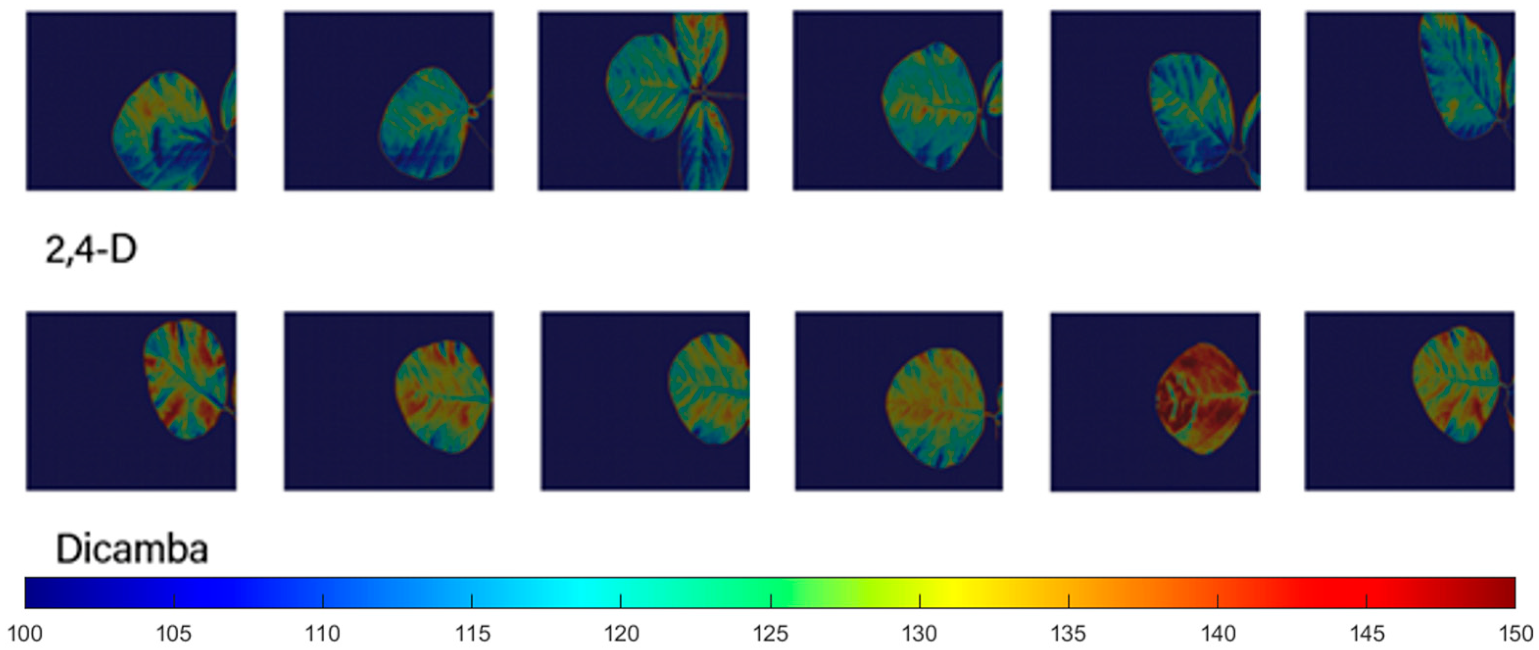 Remotesensing 15 05771 g007