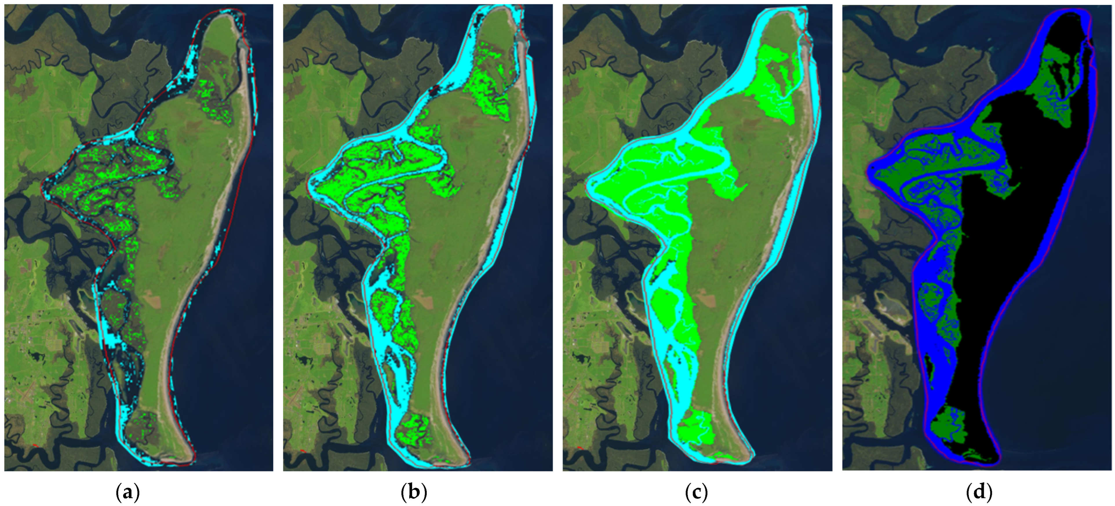 Remotesensing 16 00002 g011