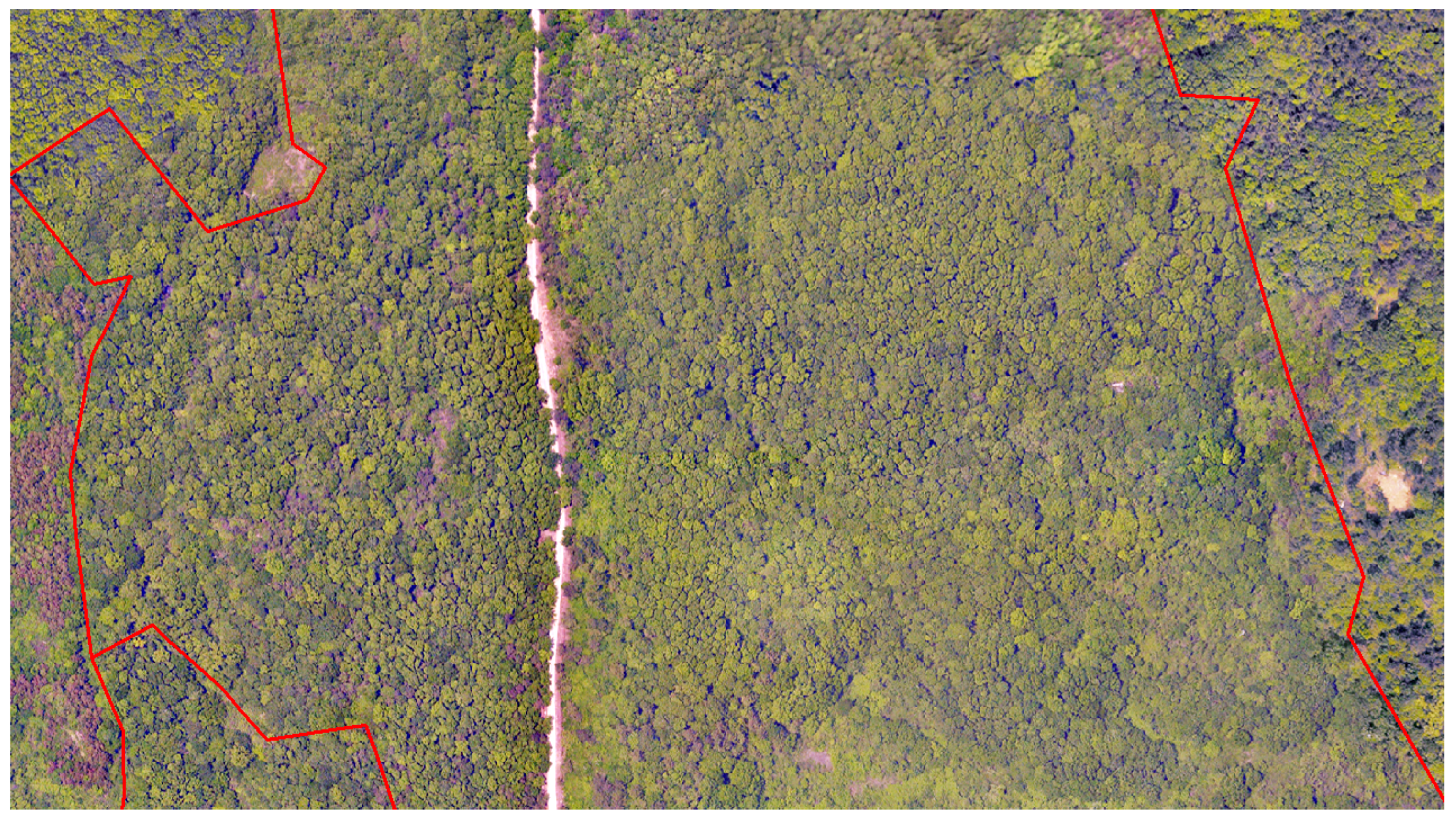 Remotesensing 16 00031 g002