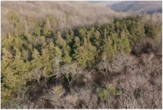 Remotesensing 16 00031 i004